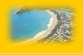 �|���l�C����������