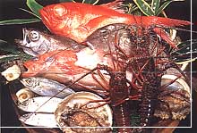 �V�N�����